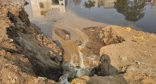 Punjab News 8Dec2025