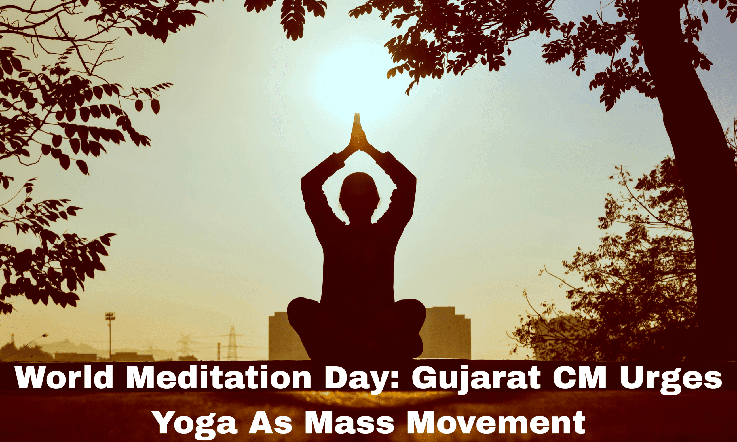 World Meditation Day gujarat state yoga board mahatma mandir gujarat news
