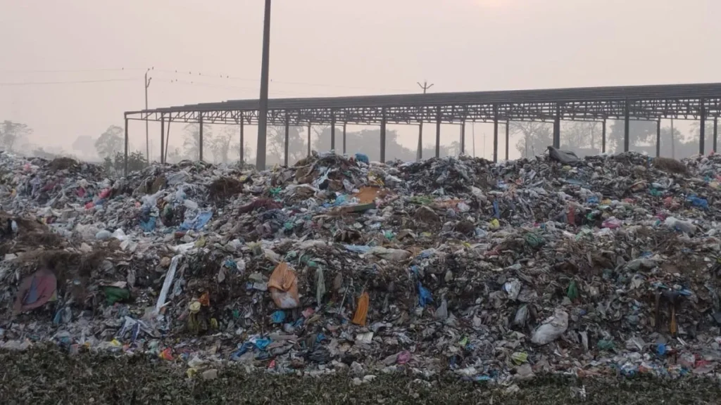 Punjab News 31Dec2025