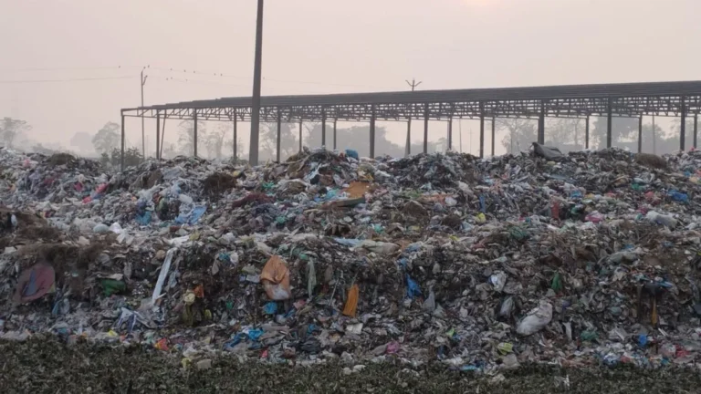 Punjab News 31Dec2025