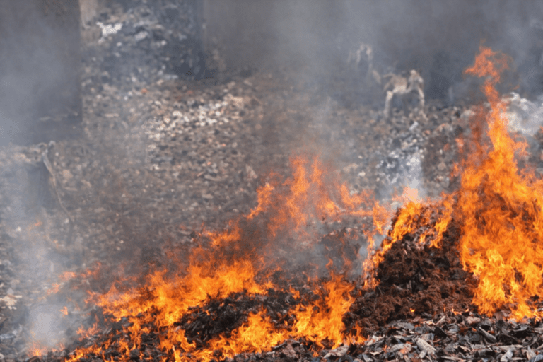 Delhi News 08 Jan 2026