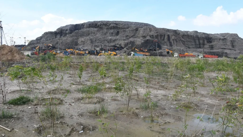 Delhi News 02 Jan 2026