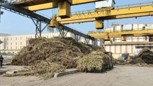 Uttarakhand News 16Jan2026