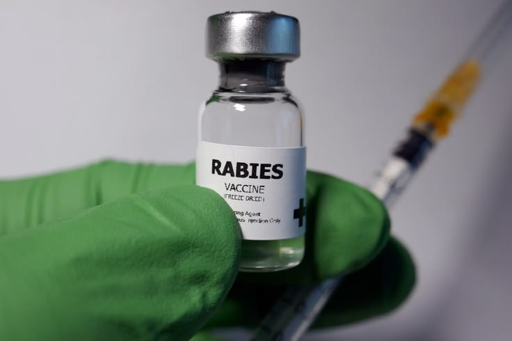 Scared Of Injections, Class 4 Mumbai Girl Skips Rabies Shot, Dies 6 Months Later