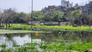 Delhi News Today 13 Mar 2026