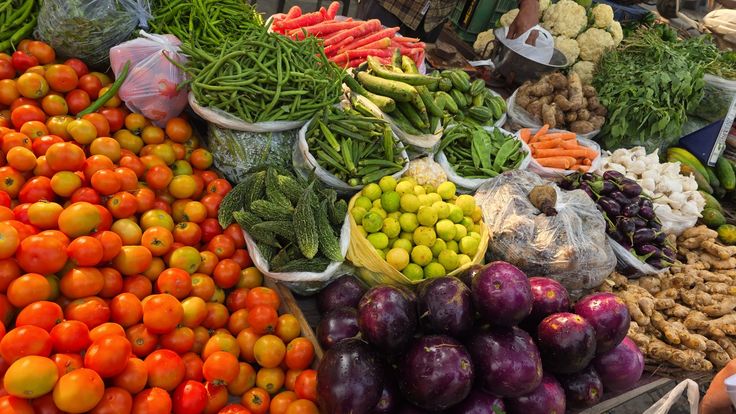 Bombay Court Orders Verification Of Mumbai Hawkers, Including Alleged Bangladeshi Nationals