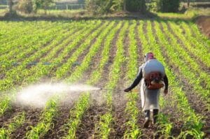 Kisan khad subsidy