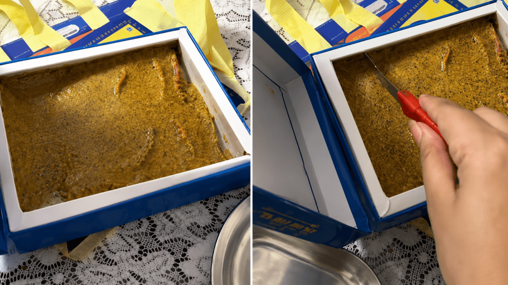 Delhi Heatwave Melts Ladoos in Viral Video as Summer Takes an Unusual Turn
