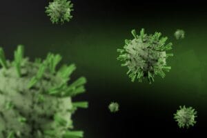 Orthoebolavirus ebola virus symptoms and preventations