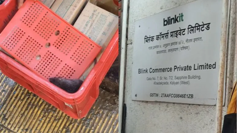 After Cockroaches in Mumbai, Rat Found in Blinkit Ice Cream Freezer in Thane: FDA Under Pressure